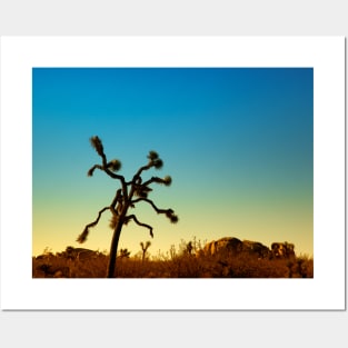 Joshua Tree National Park, California Posters and Art